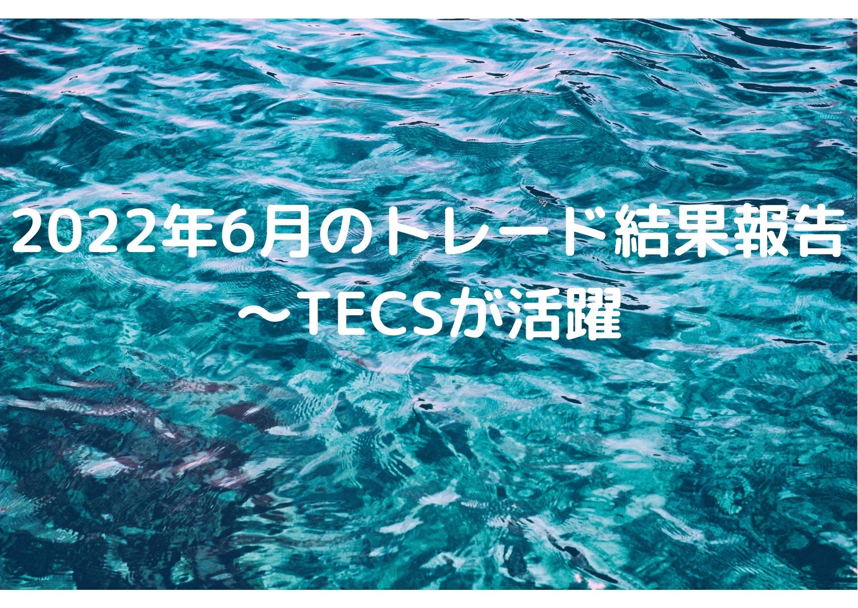 2022年6月のトレード結果報告～TECSが活躍