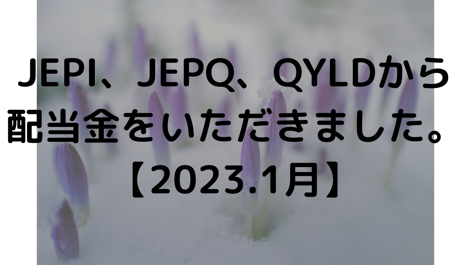 JEPI、JEPQ、QYLDから配当金をいただきました。【2023.1月】